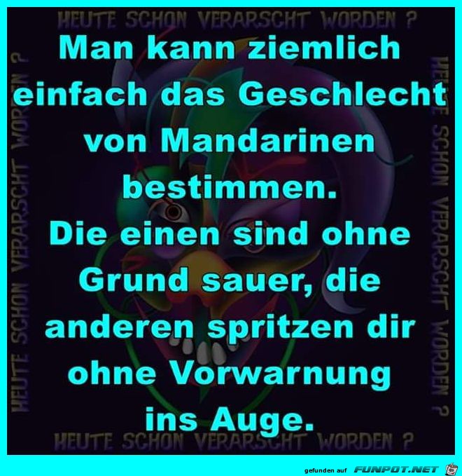 Die Geschlechtsbestimmung Die Geschlechtsbestimmung