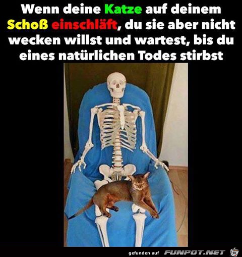 Hat länger gedauert Hat länger gedauert