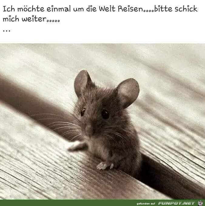 Möchte einmal um die Welt Möchte einmal um die Welt