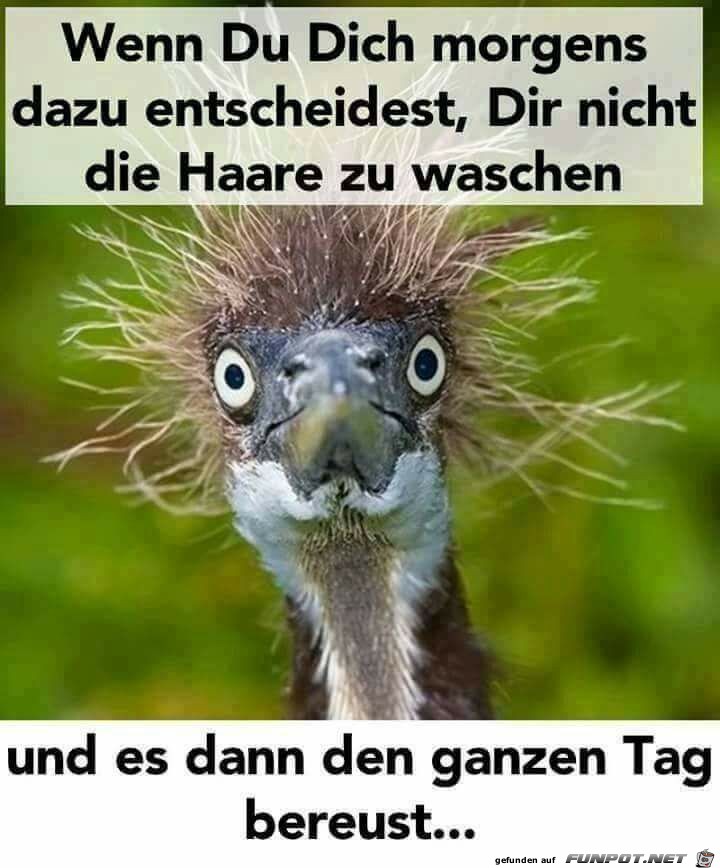 Haare waschen