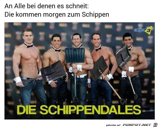 Schippendales