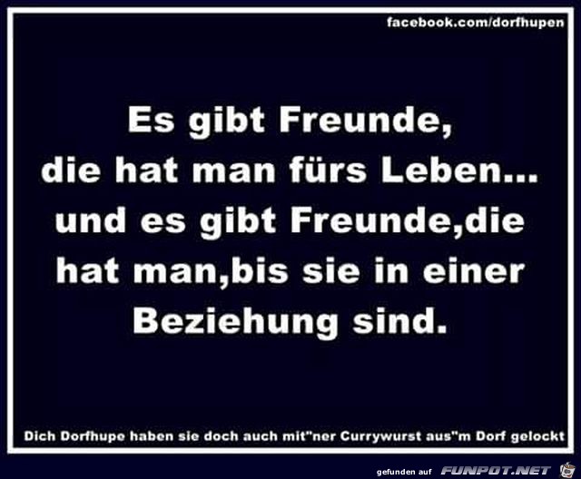 Freunde Freunde