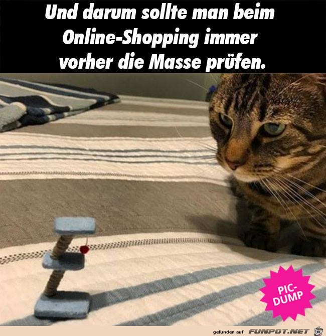 Bestellung Bestellung