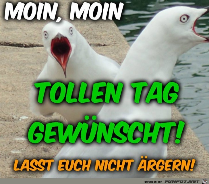 Tollen Tag gewuenscht