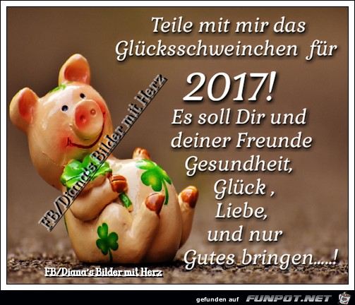 Glueckschweinchen fuer 2017 Glueckschweinchen fuer 2017