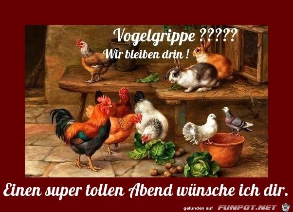 Vogelgrippe