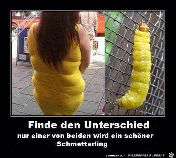 Finde den Unterschied