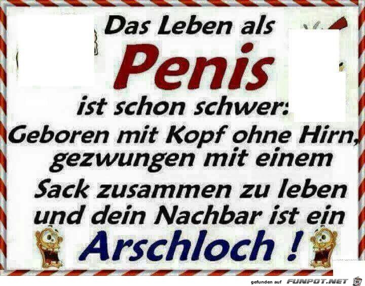 Das Leben als Penis ist schon schwer