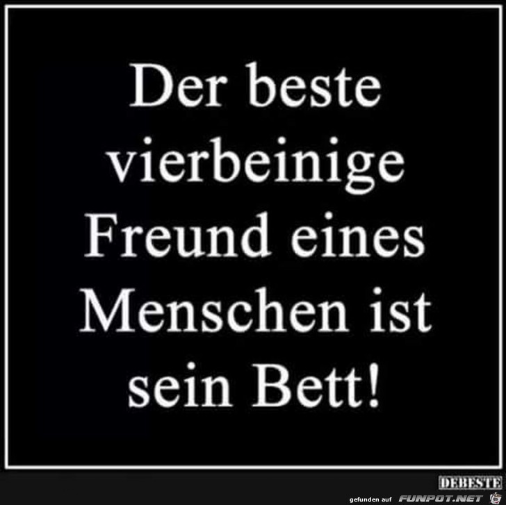 Der beste Freund Der beste Freund