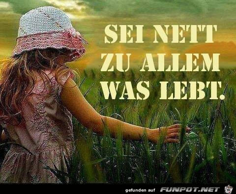 Sei nett Sei nett
