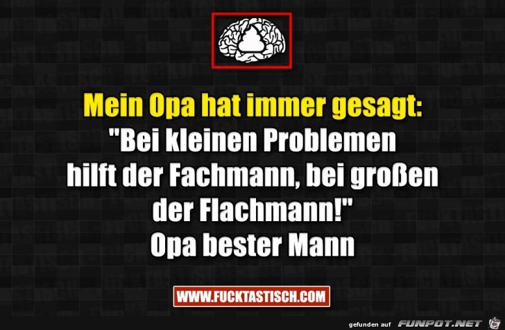 opa hat immer gesagt opa hat immer gesagt
