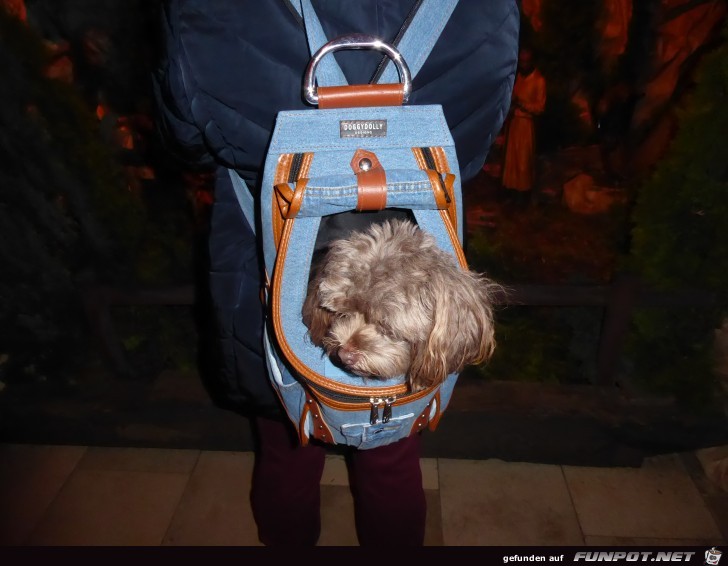 Hunde-Rucksack