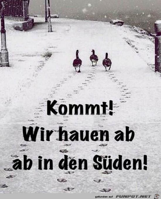Wir hauen ab Wir hauen ab