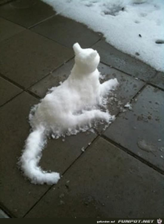 Super Schnee-Katze