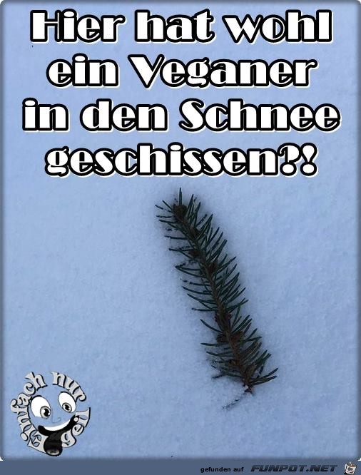 Veganer Veganer