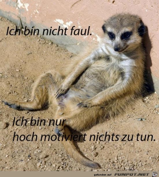 ich bin nicht faul......