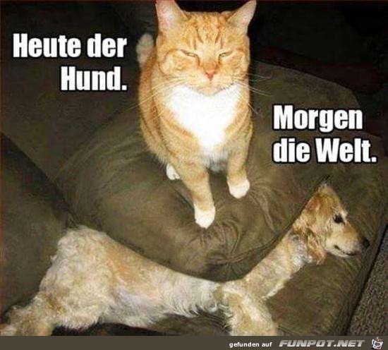 Heute Heute