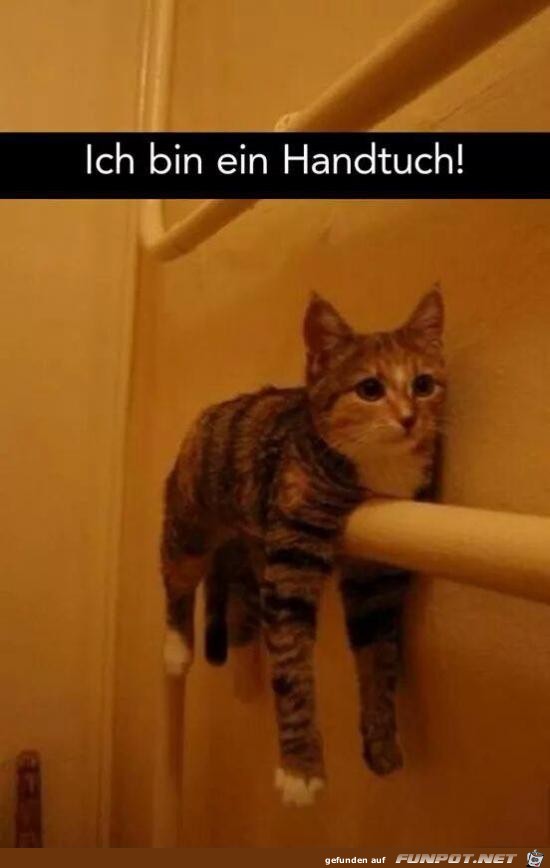 Handtuch Handtuch