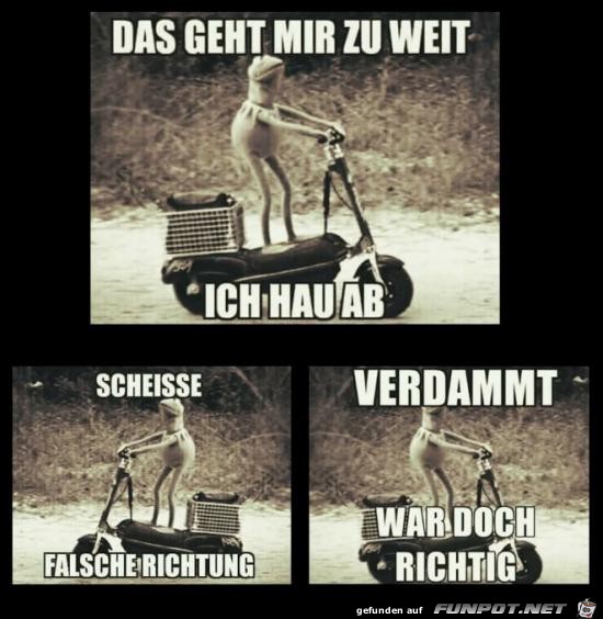 Richtig oder falsch