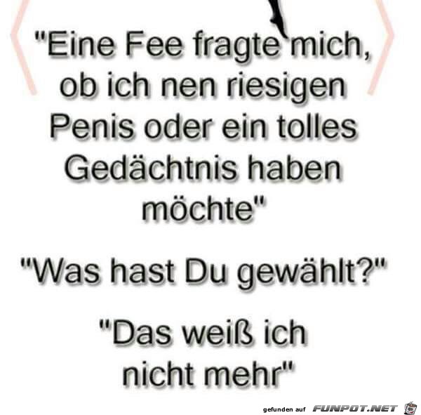 Eine Fee fragte mich... Eine Fee fragte mich...