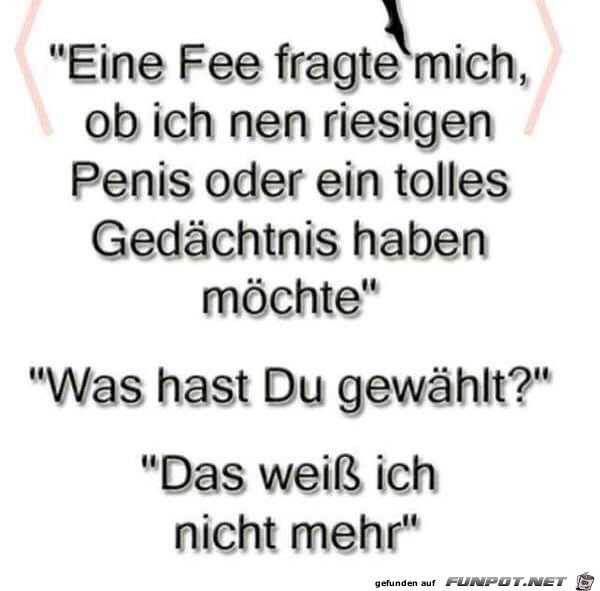 Eine Fee fragte mich...