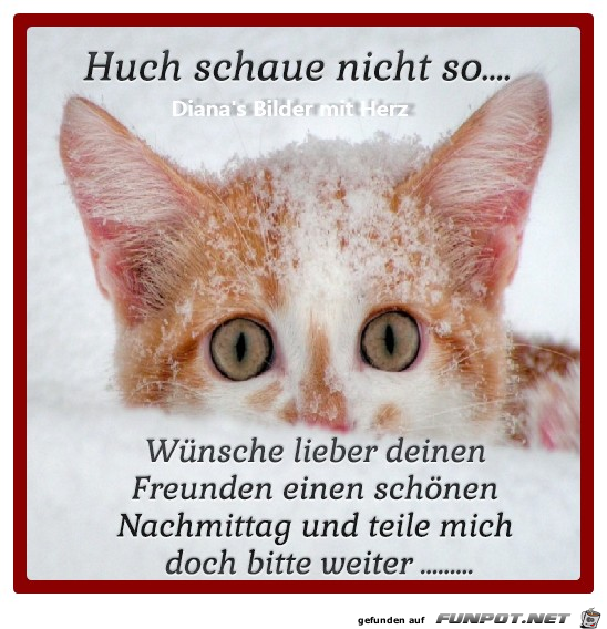 Schau nicht so Schau nicht so