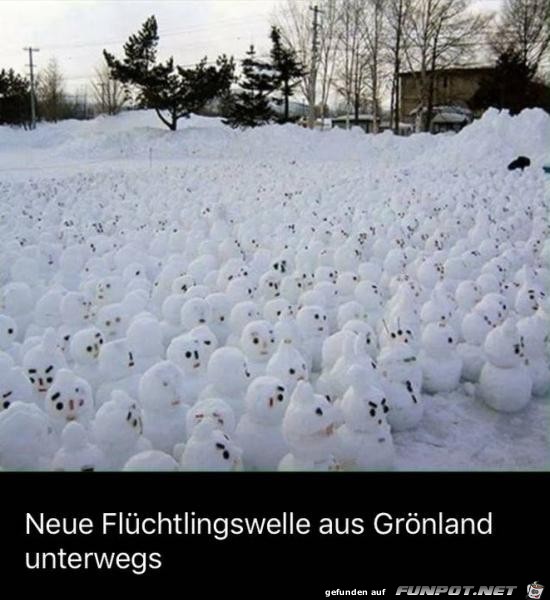 neue Flüchtlingswelle...... neue Flüchtlingswelle......
