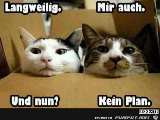 langweilig....... langweilig.......