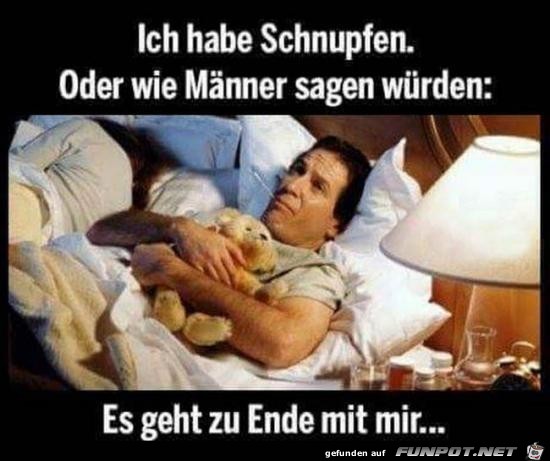 Schnupfen