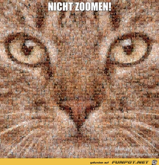 nicht zoomen nicht zoomen