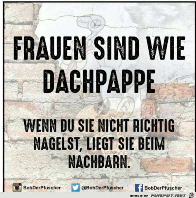 Frauen sind wie Dachpappe