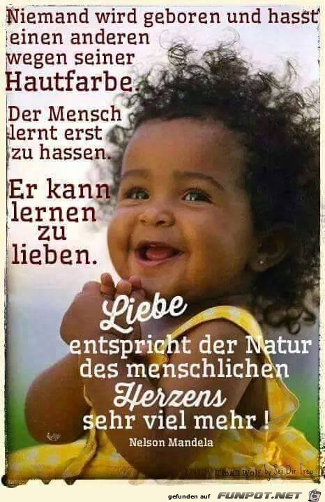 Niemand wird geboren Niemand wird geboren