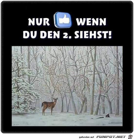 nur wenn du den 2.ten siehst....... nur wenn du den 2.ten siehst.......