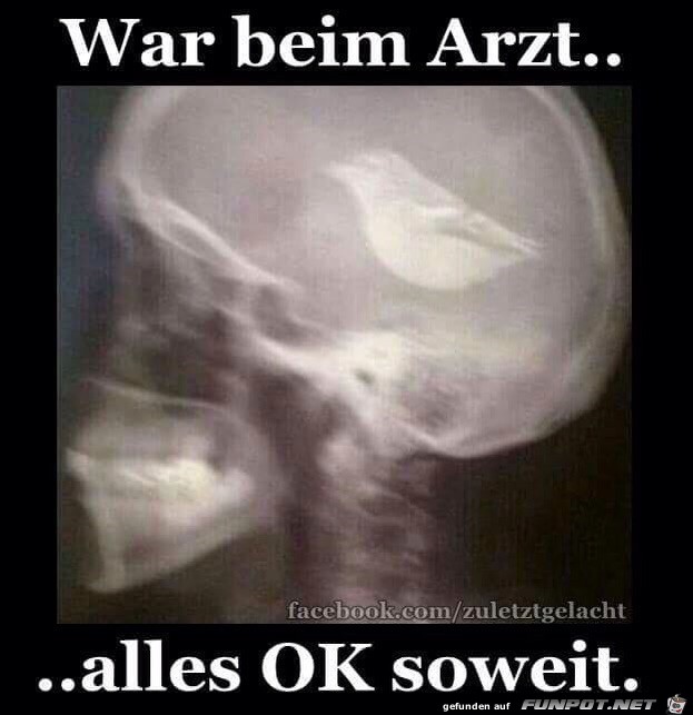 War beim Arzt