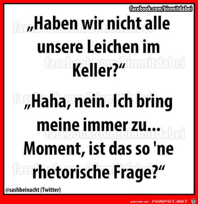 Leiche im Keller Leiche im Keller