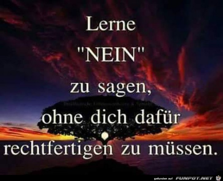 Lerne nein zu sagen Lerne nein zu sagen