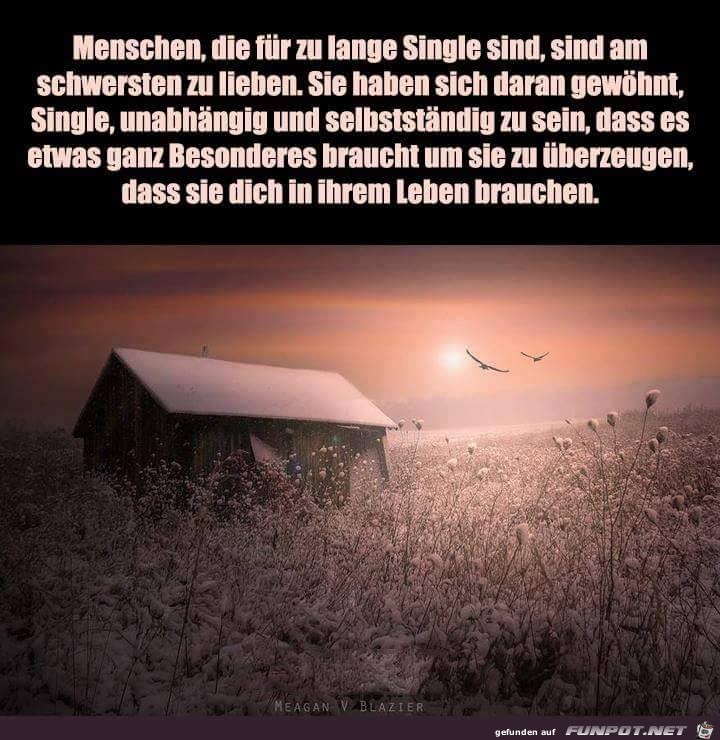 Single Single