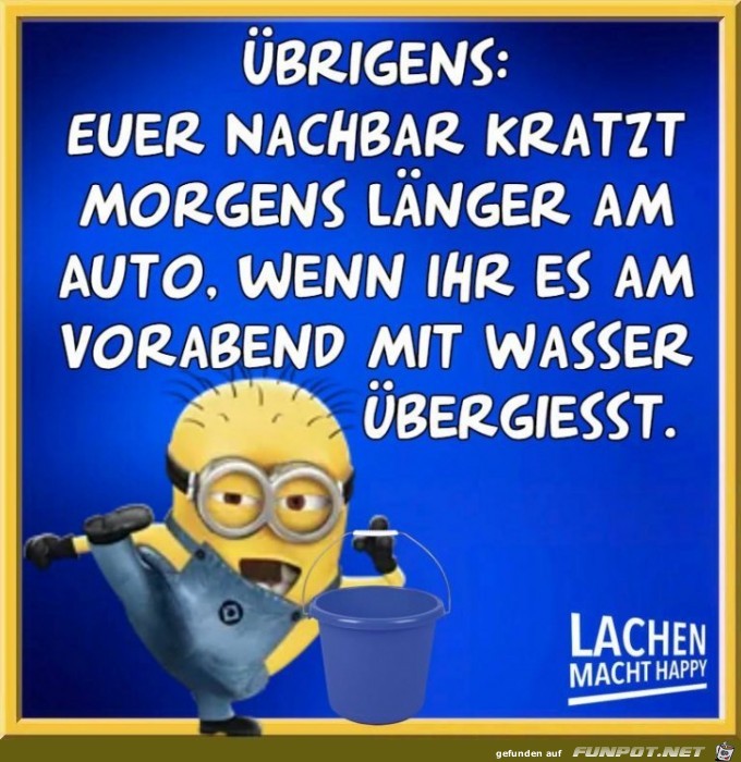 Euer Nachbar kratzt