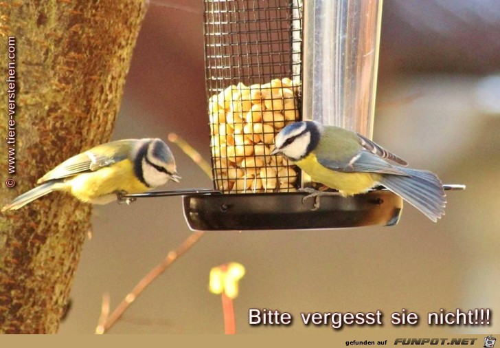 Bitte vergesst nicht Bitte vergesst nicht