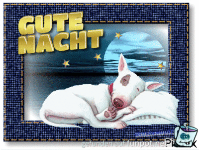 Gute Nacht Gute Nacht