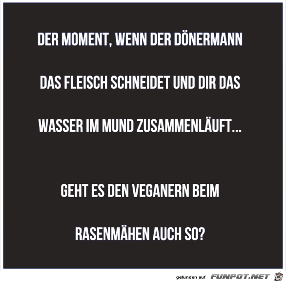 Doener Doener