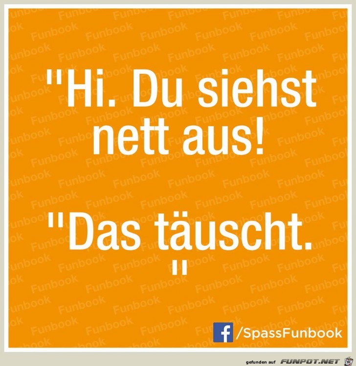 Nett Nett