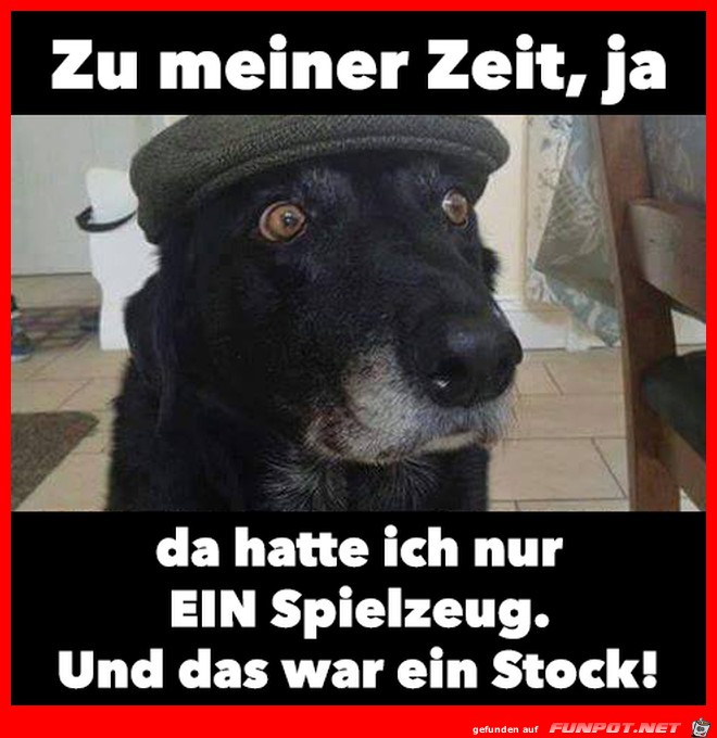 Zu meiner Zeit Zu meiner Zeit