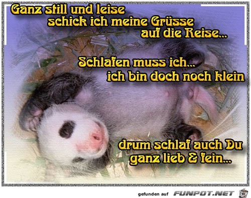 ganz still und leise, schick ich..... ganz still und leise, schick ich.....