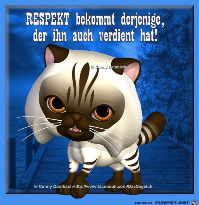 Respekt Respekt