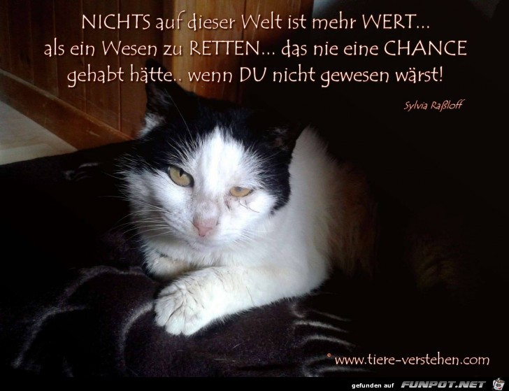 Nichts auf der Welt Nichts auf der Welt