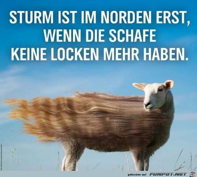 Sturm im Norden