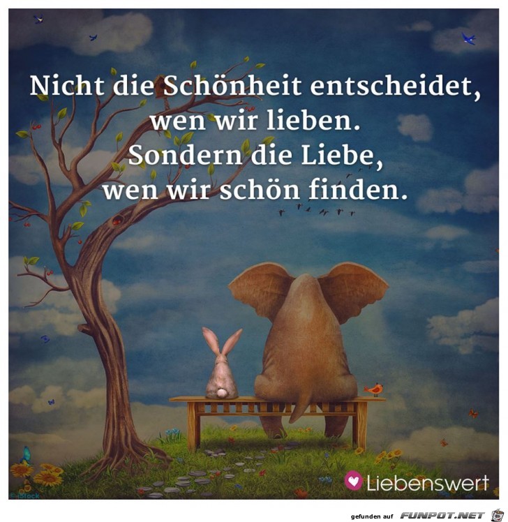Nicht die Schoenheit Nicht die Schoenheit