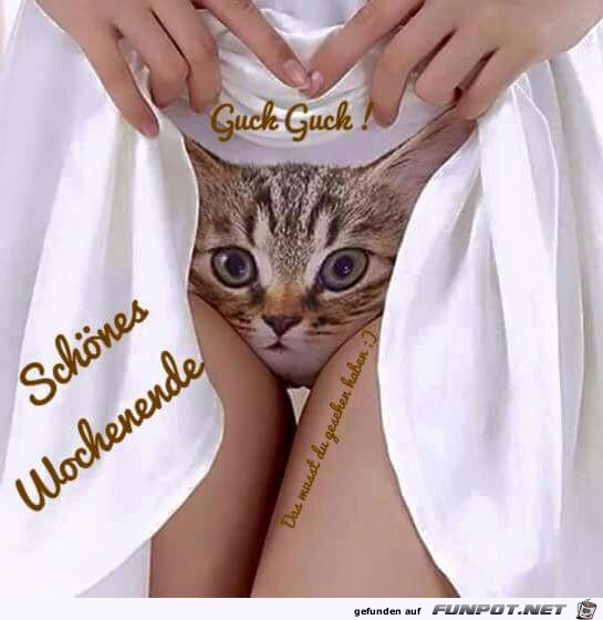 Guck Guck Guck Guck