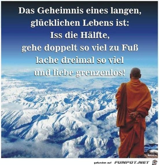 Guter Plan Guter Plan